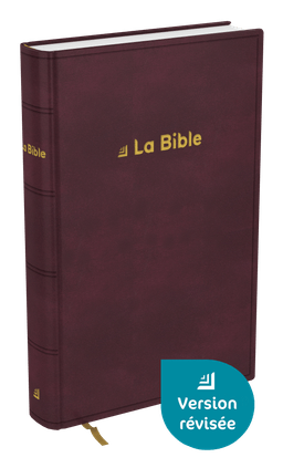 image du produit Bible Darby révisée format standard, rigide brun-rouge