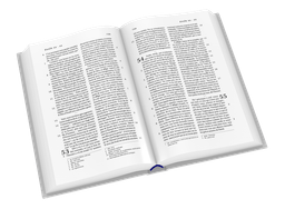 image du produit Bible Darby format standard, souple gris