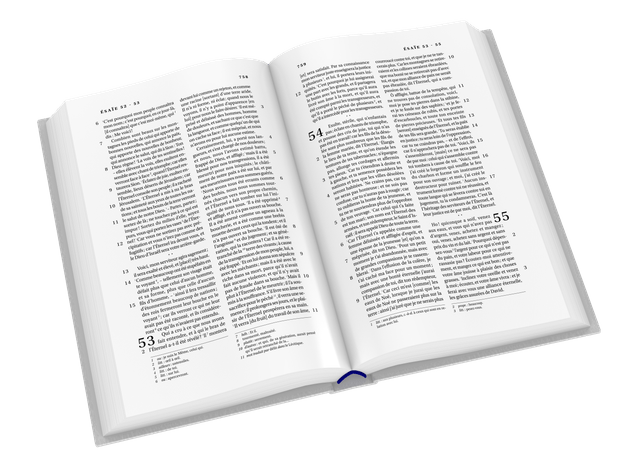 image du produit Bible Darby format standard, souple gris