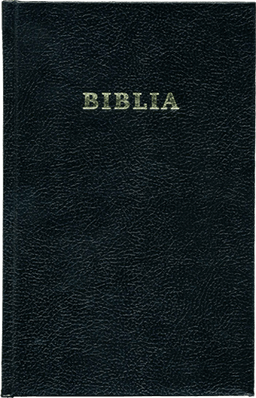 image du produit Bible, roumain, avec parallèles