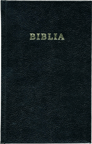image du produit Bible, roumain, avec parallèles