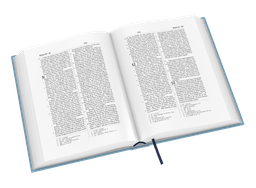 image du produit Bible Darby révisée grandes marges, souple bleu clair