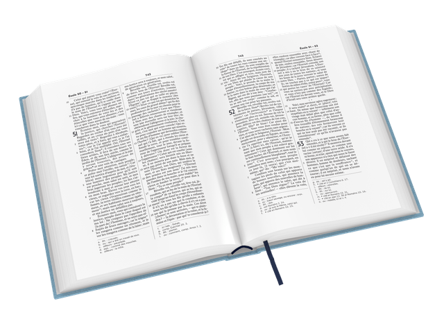 image du produit Bible Darby révisée grandes marges, souple bleu clair