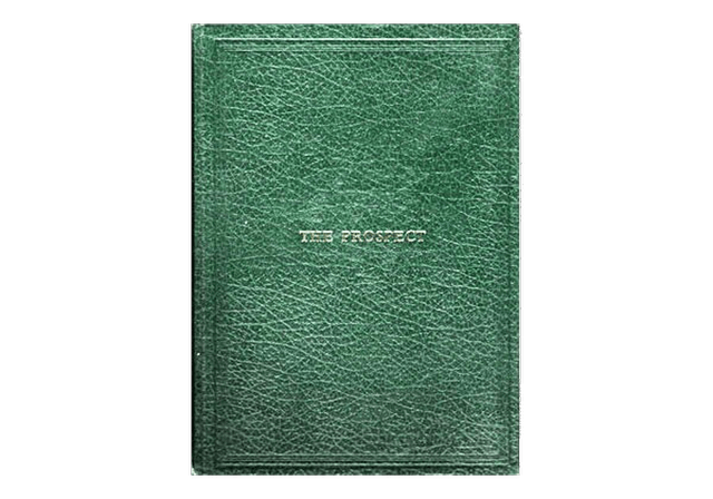 image du produit The Prospect