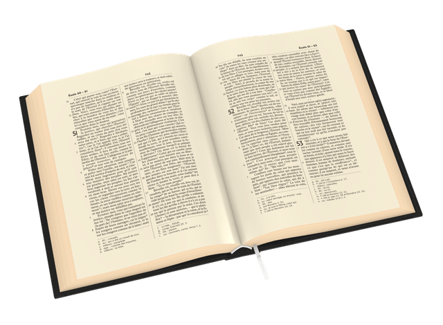 image du produit Bible Darby révisée grandes marges, cuir noir, tranche or