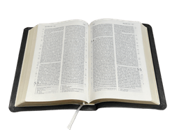 image du produit Bible Darby format standard, cuir noir