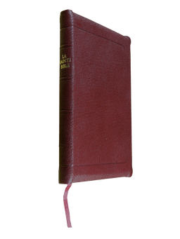 image du produit Bible Darby à rebords cuir grenat, format de poche, ancienne prés.