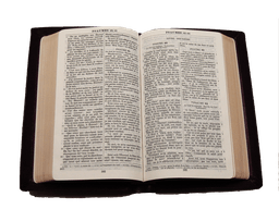 image du produit Bible Darby cuir grenat, petit format, ancienne prés.