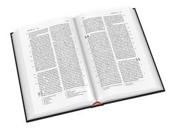 image du produit Bible Darby format standard, rigide noir