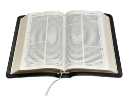 image du produit Bible Darby format compact, cuir noir
