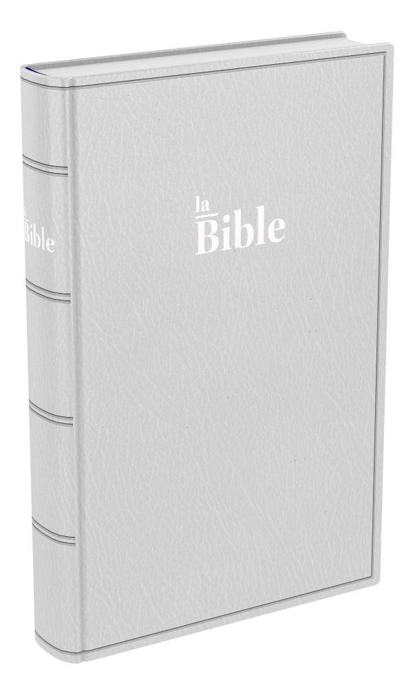 Produit Bible Darby format standard, souple gris