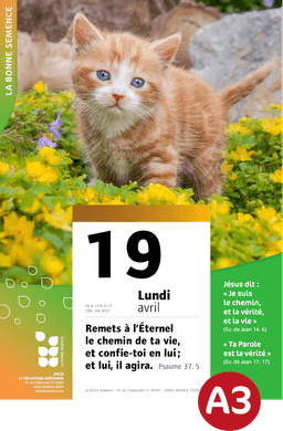 image du produit Affiche - La Bonne Semence