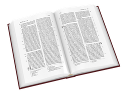image du produit Bible Darby format standard, rigide grenat