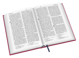 image du produit Bible Darby révisée format compact, rigide velours rouge framboise