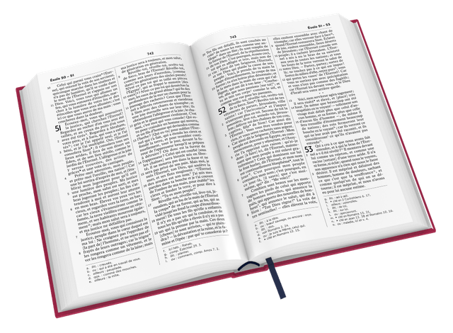 image du produit Bible Darby révisée format compact, rigide velours rouge framboise