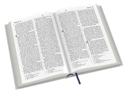 image du produit Bible Darby révisée format compact, souple gris, tranche argent