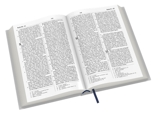 image du produit Bible Darby révisée format compact, souple gris, tranche argent