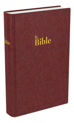 image du produit Bible Darby format compact, rigide brun-rouge