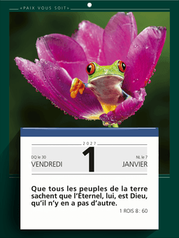 image du produit Paix vous soit, 2027