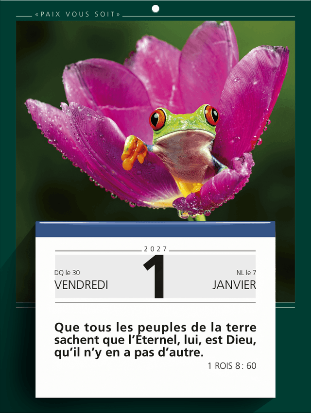 image du produit Paix vous soit, 2027