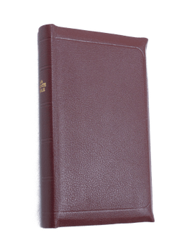 image du produit Bible Darby cuir grenat, petit format, ancienne prés.