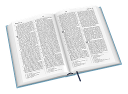 image du produit Bible Darby révisée grand format, souple bleu clair