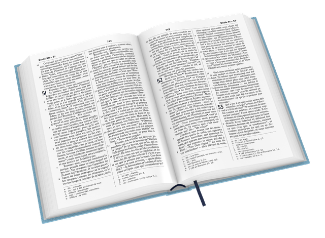 image du produit Bible Darby révisée grand format, souple bleu clair