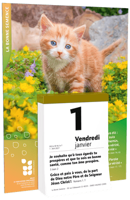 image du produit La Bonne Semence, bloc plaque, 2027