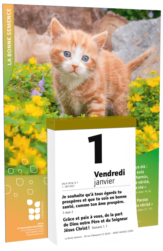 image du produit La Bonne Semence, bloc plaque, 2027