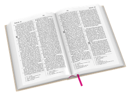 image du produit Bible Darby révisée format standard, rigide lin beige