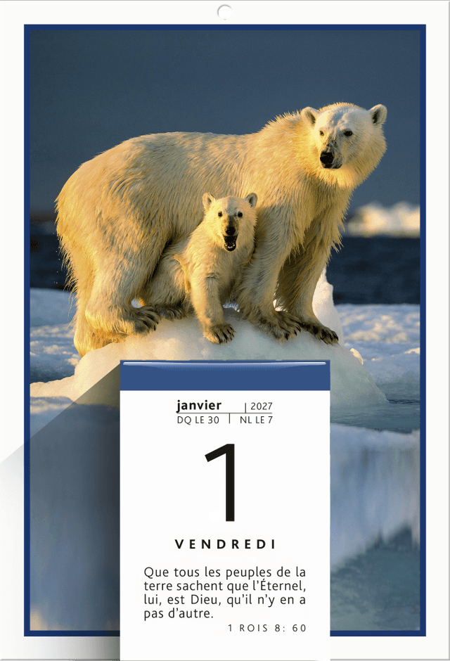 image du produit Parole pour aujourd'hui, bloc plaque, 2027