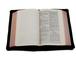 image du produit Bible Darby cuir noir, interfoliée à rebords, format moyen, ancienne prés.