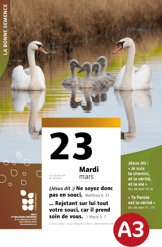 image du produit Affiche - La Bonne Semence