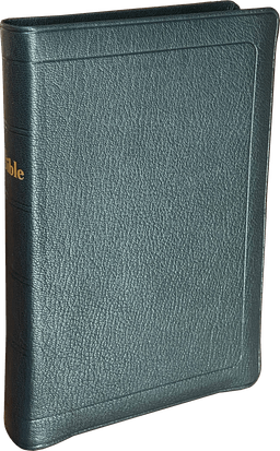 image du produit Bible Darby format standard, cuir noir