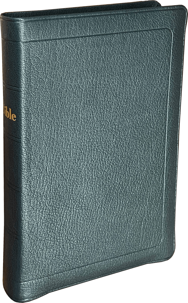 Produit Bible Darby format standard, cuir noir