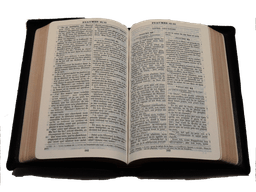 image du produit Bible Darby cuir noir, petit format, ancienne prés.