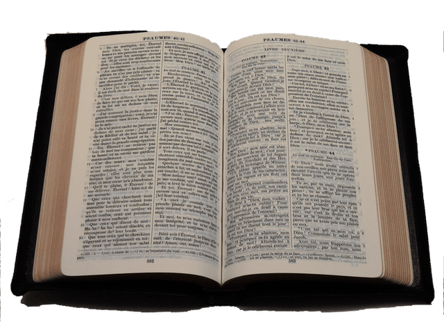 image du produit Bible Darby cuir noir, petit format, ancienne prés.