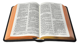 image du produit Bible cuir, petit format, version J.N. Darby, anglais