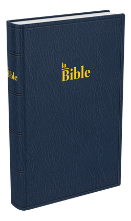 image du produit Bible Darby format standard, souple bleu