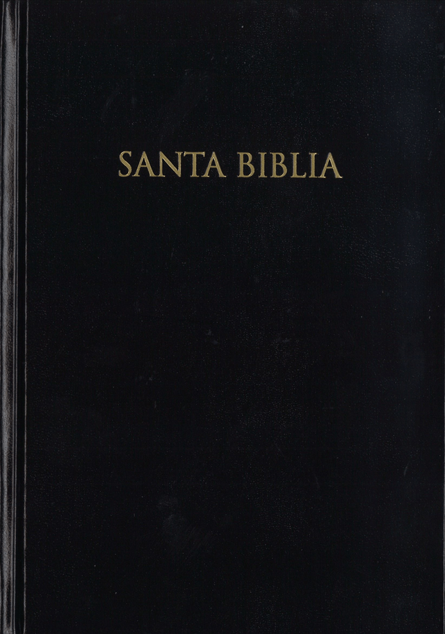 image du produit Bible, espagnol, cartonnée