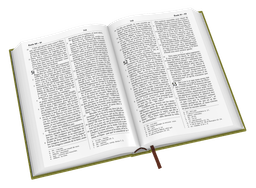 image du produit Bible Darby révisée format standard, rigide velours vert olive