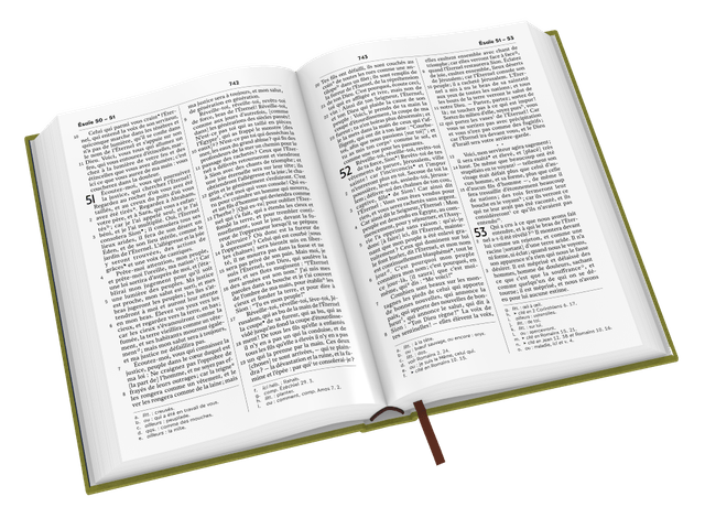 image du produit Bible Darby révisée format standard, rigide velours vert olive