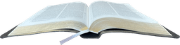 image du produit Bible Darby révisée grandes marges, cuir noir, tranche or