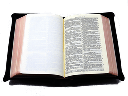 image du produit Bible Darby cuir noir, interfoliée à rebords, format de poche, ancienne prés.
