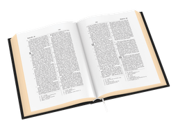 image du produit Bible Darby révisée grandes marges, cuir noir, tranche or