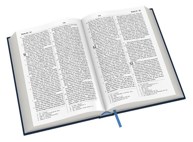 image du produit Bible Darby révisée format standard, souple bleu, tranche argent