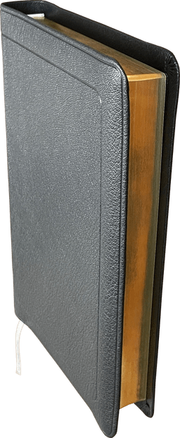 image du produit Bible Darby format standard, cuir noir