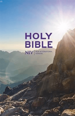 image du produit Bible, anglais, cartonné, petit format