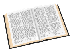 image du produit Bible Darby révisée format standard, cuir noir, tranche or