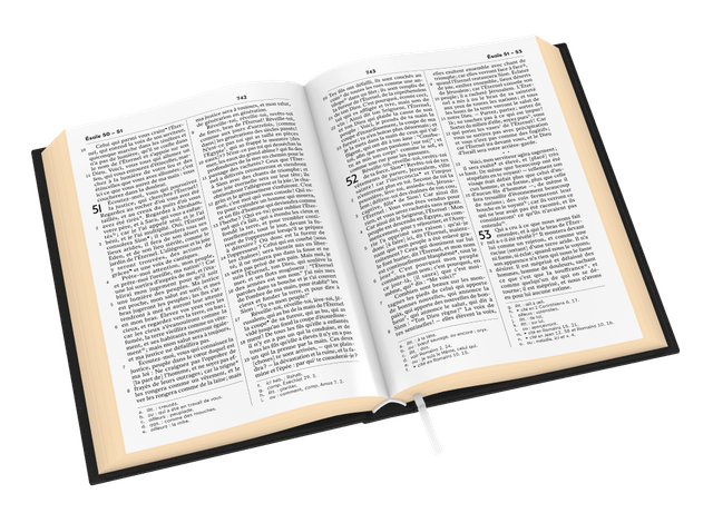image du produit Bible Darby révisée format standard, cuir noir, tranche or